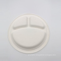 compostable tableware bagasse food paper dinner plate